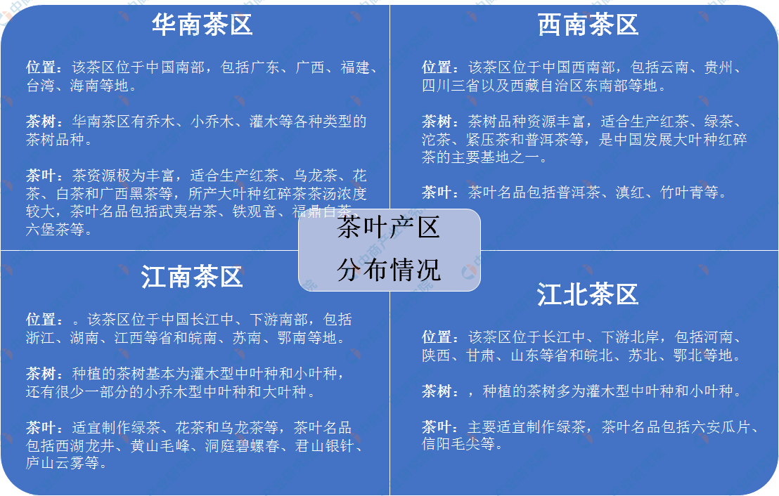 况及四大茶叶产区分布情况分析（附百强县）AG真人游戏平台中国茶叶七大种类基本概(图2)