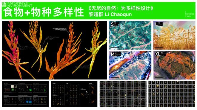 究食物边回应气候变化的大学专业AG真人游戏平台在中国一个边研(图16)